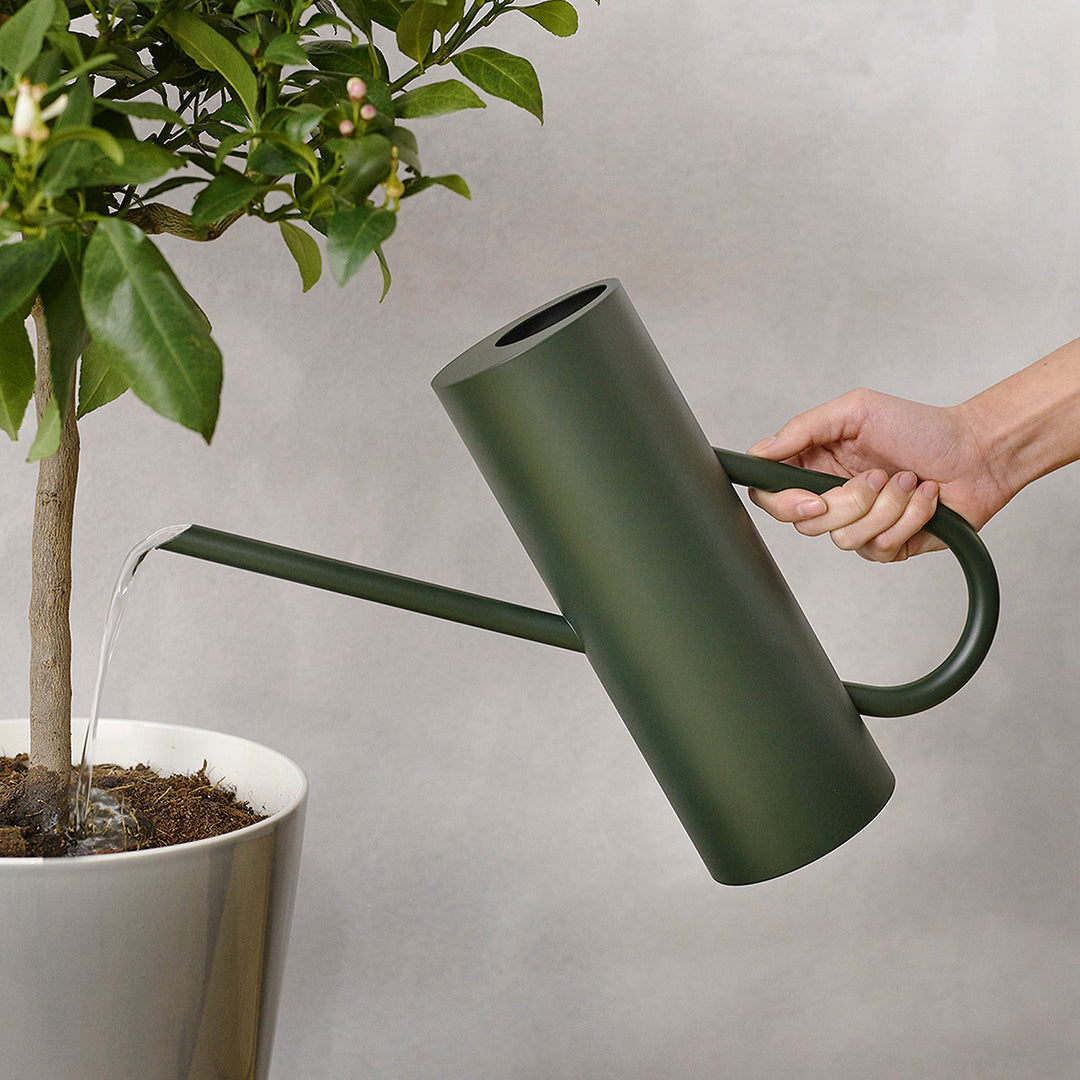 stelton | bloom watering can