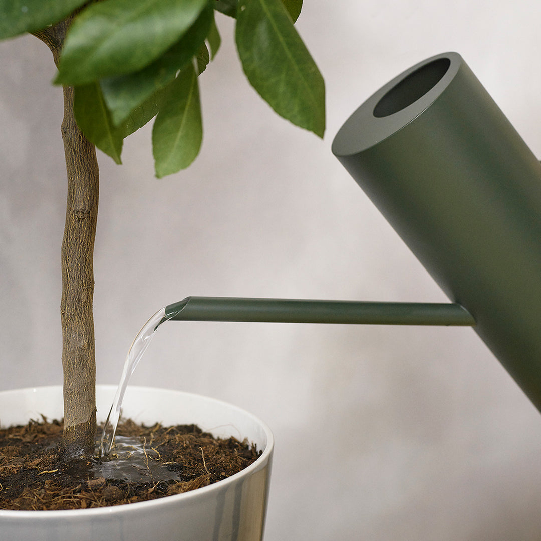 stelton | bloom watering can