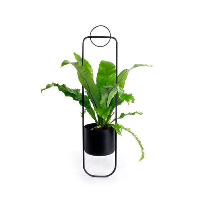 xlboom | sonar hanging planter pot | black - 3DC