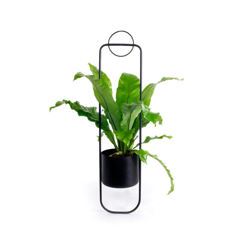 xlboom | sonar hanging planter pot | black ~ DC
