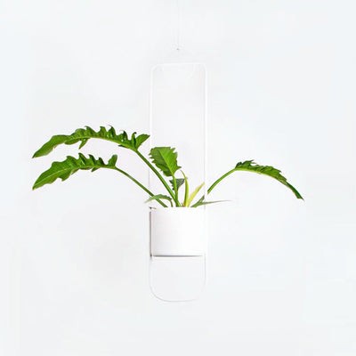 xlboom | sonar hanging planter pot | white